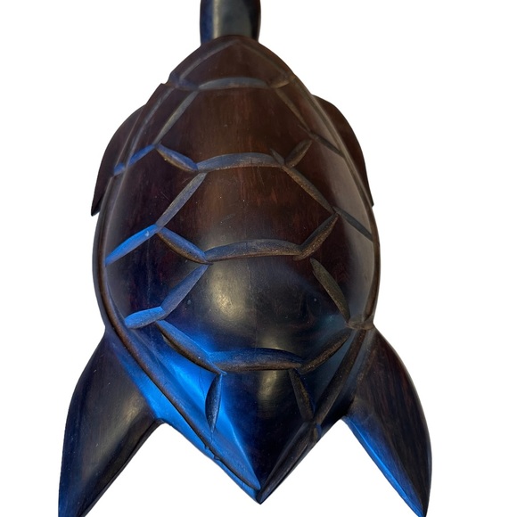 Ironwood Turtle. - Picture 3 of 10